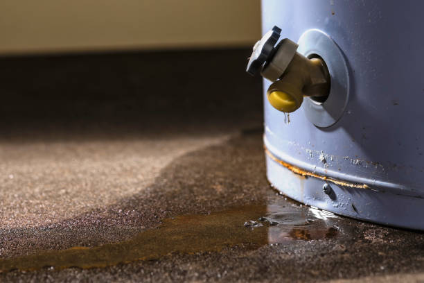 Best Sewage cleanup and water damage restoration  in Muttontown, NY