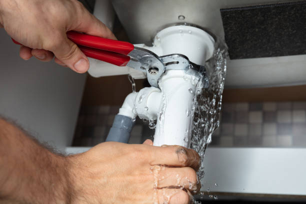 Best Mold removal after water damage  in Muttontown, NY