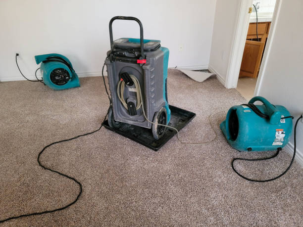 Best Flood restoration services  in Muttontown, NY