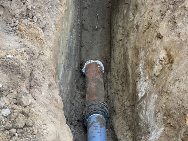 Best Local water damage restoration  in Muttontown, NY