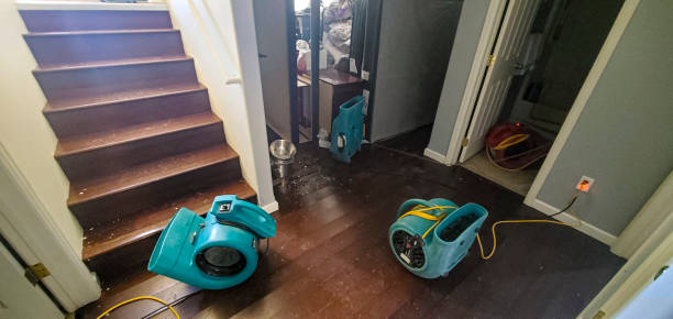 Best Commercial water damage restoration  in Muttontown, NY
