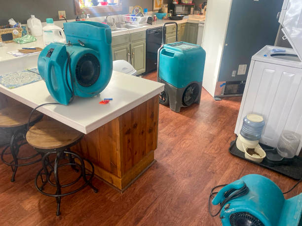 Local water damage restoration in NY