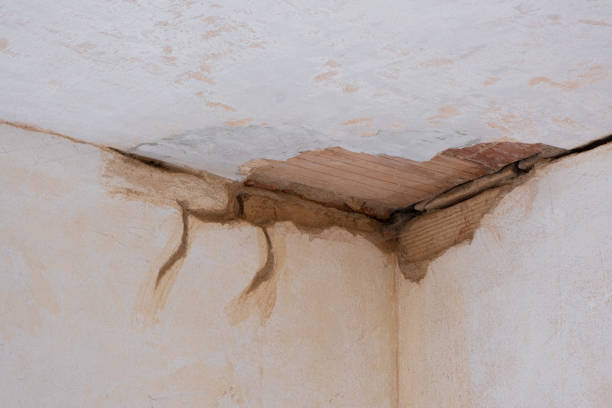 Best 24-hour water damage restoration  in Muttontown, NY