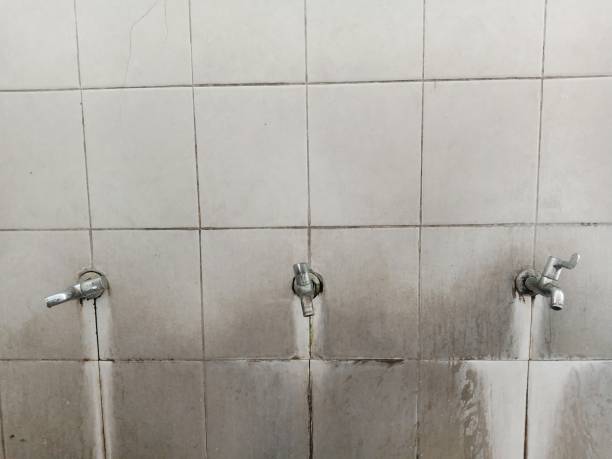 Best Residential water damage restoration  in Muttontown, NY