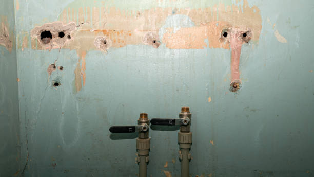 Best Professional water damage repair  in Muttontown, NY