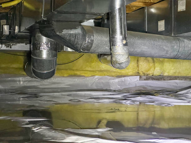 Best Flood damage cleanup  in Muttontown, NY