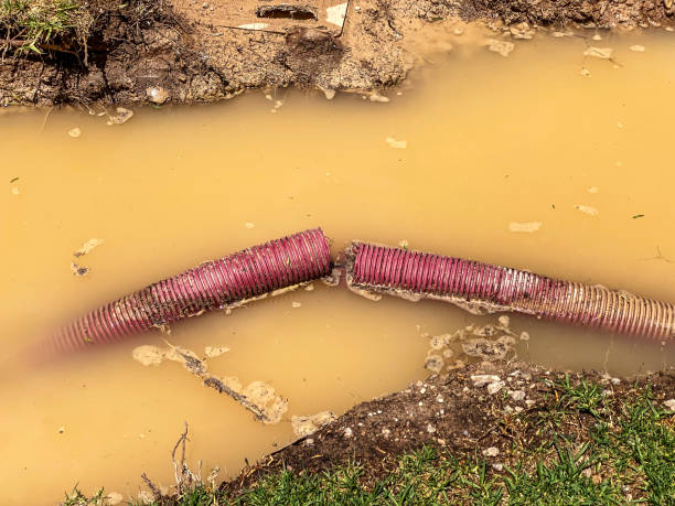 Best Water damage contractors near me  in Muttontown, NY