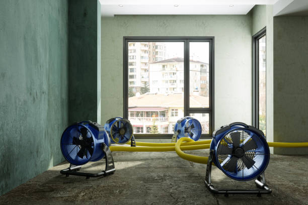 Best Carpet water damage restoration  in Muttontown, NY